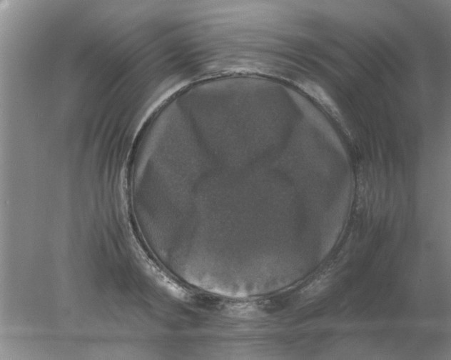 X0000078020798200611171911