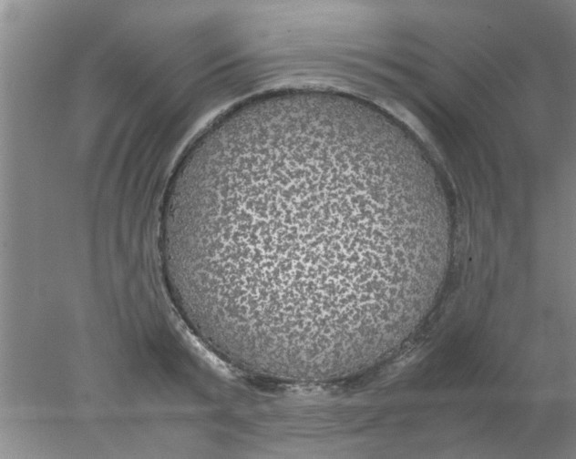 X0000078020799200611171911