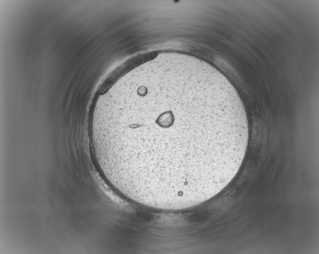 X0000078020800200611171911