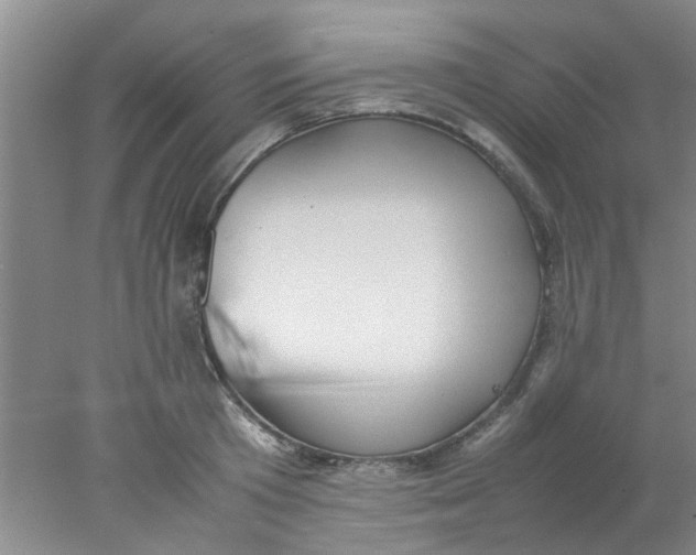 X0000078020801200611171911