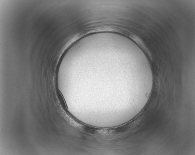 X0000078020805200611171911