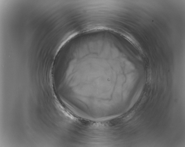 X0000078020806200611171911