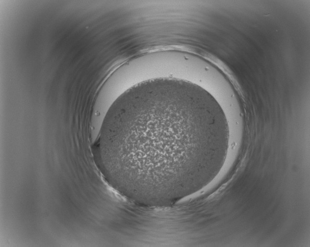 X0000078020809200611171911