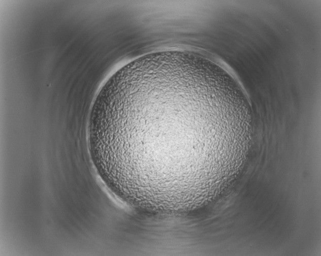 X0000078020811200611171911