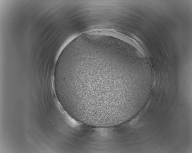 X0000078020812200611171911