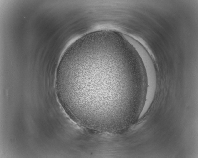 X0000078020815200611171911