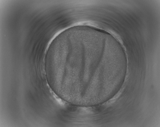 X0000078020816200611171911