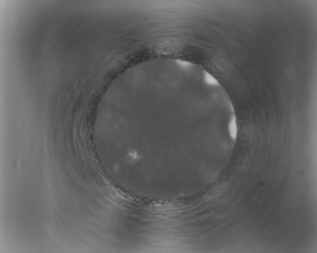 X0000078020817200611171910