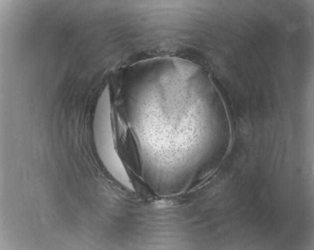 X0000078020818200611171910