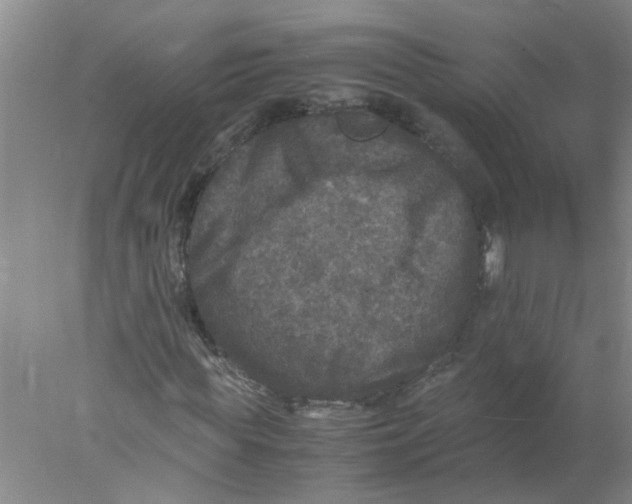 X0000078020819200611171910