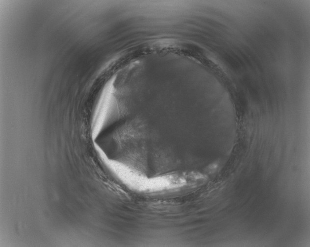 X0000078020823200611171910