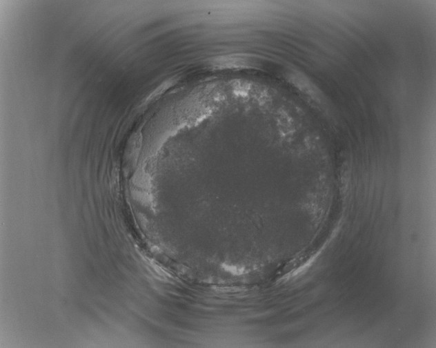 X0000078020825200611171910