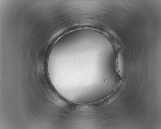 X0000078020826200611171910