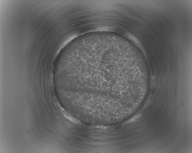 X0000078020827200611171910