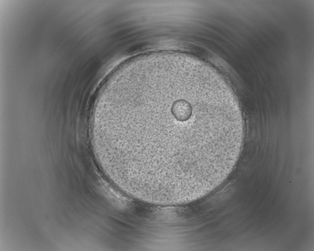 X0000078020828200611171910