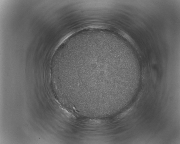 X0000078020829200611171910