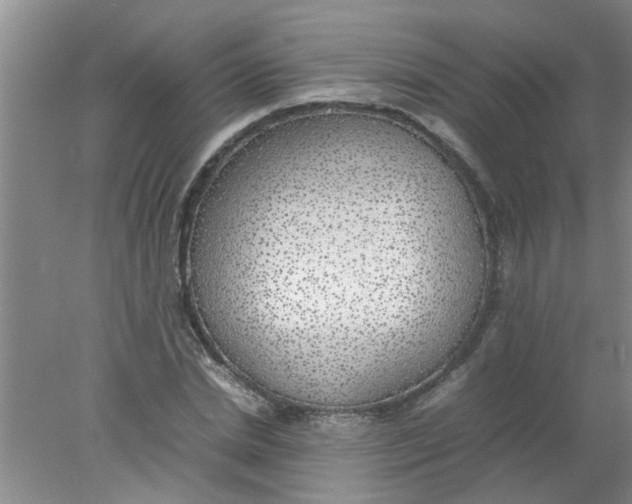 X0000078020830200611171910