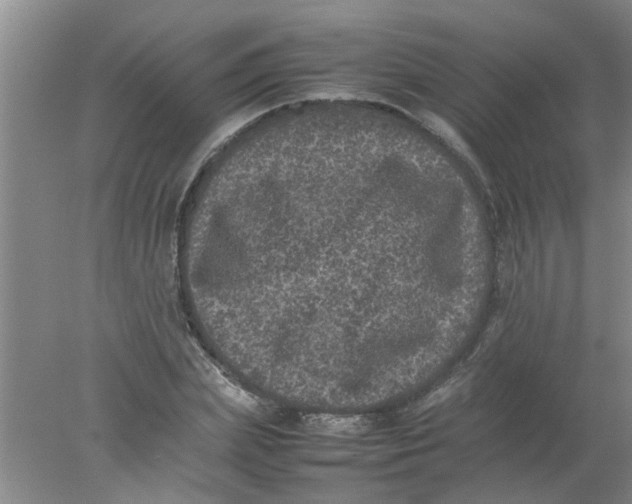 X0000078020831200611171910