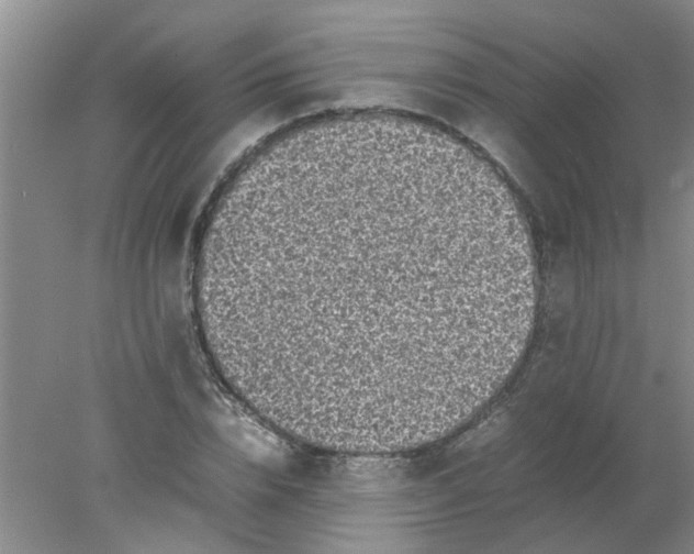 X0000078020832200611171911