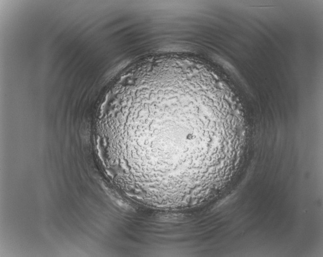 X0000078020833200611171911