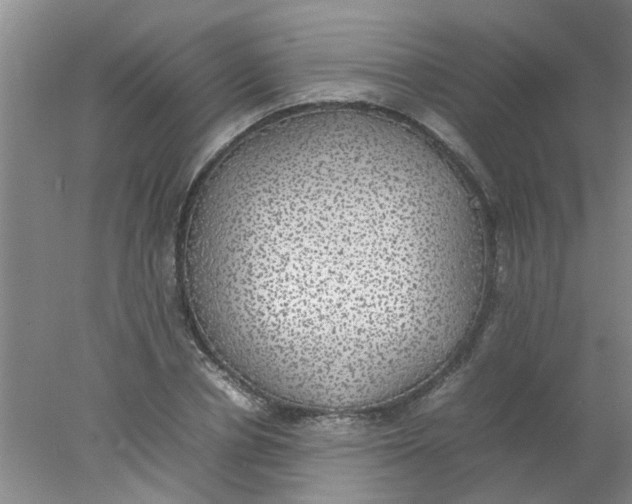 X0000078020834200611171911