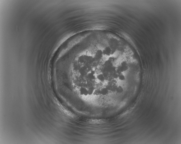 X0000078020835200611171911