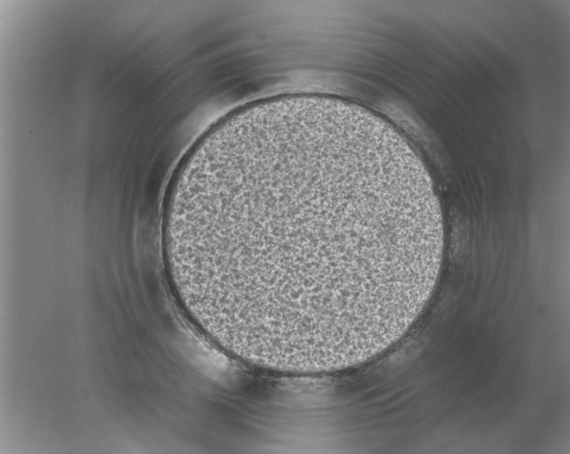 X0000078020836200611171911