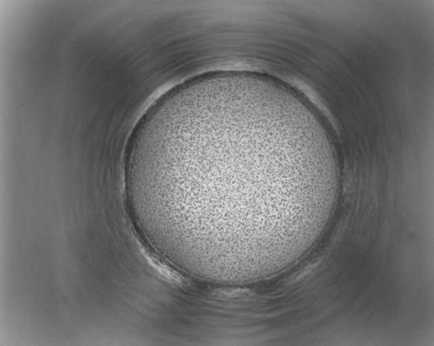 X0000078020837200611171911