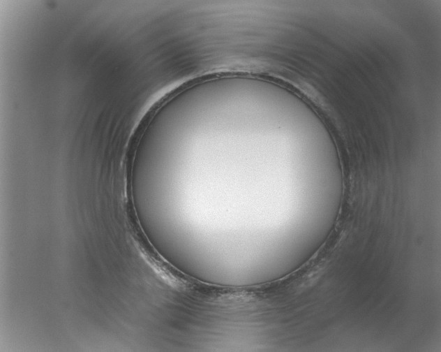 X0000078020838200611171911