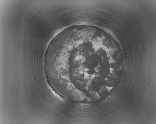 X0000078020839200611171911