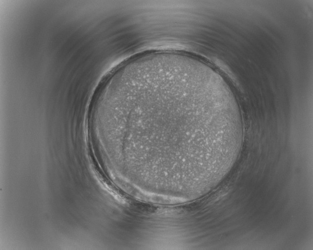 X0000078020840200611171911