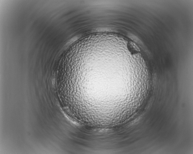 X0000078020841200611171911