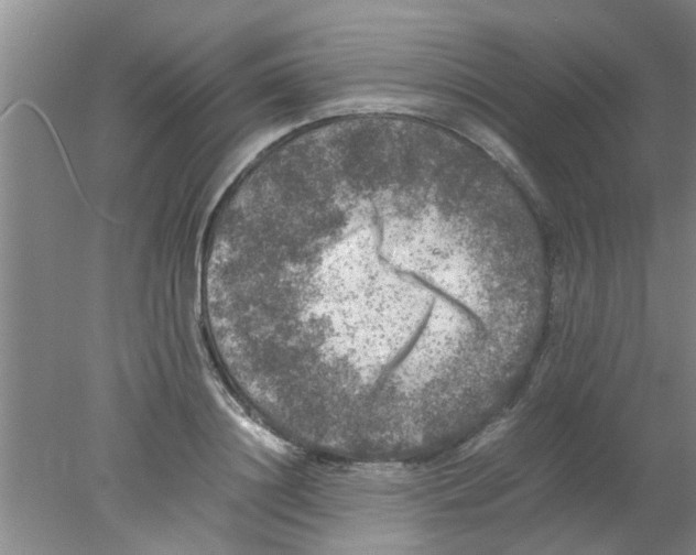 X0000078020844200611171911