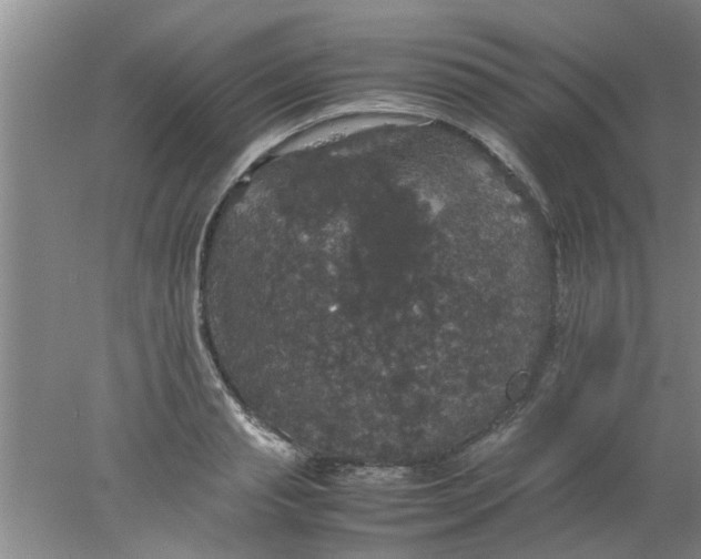 X0000078020845200611171911