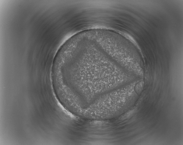 X0000078020847200611171911