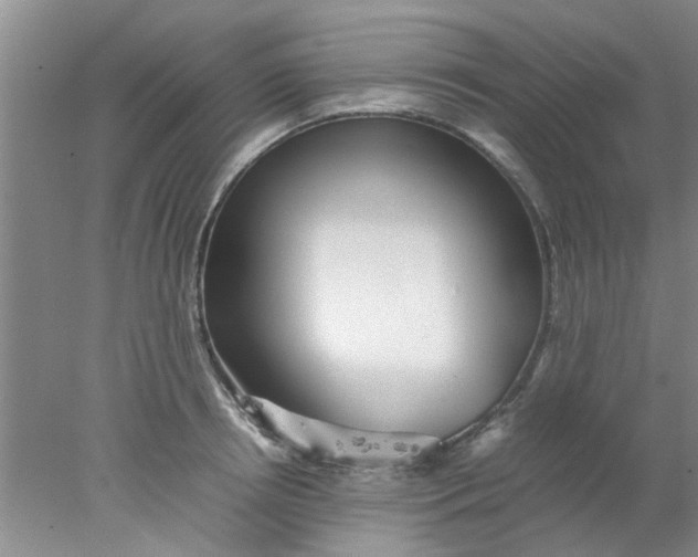 X0000078020850200611171911