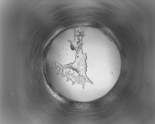 X0000078020851200611171911