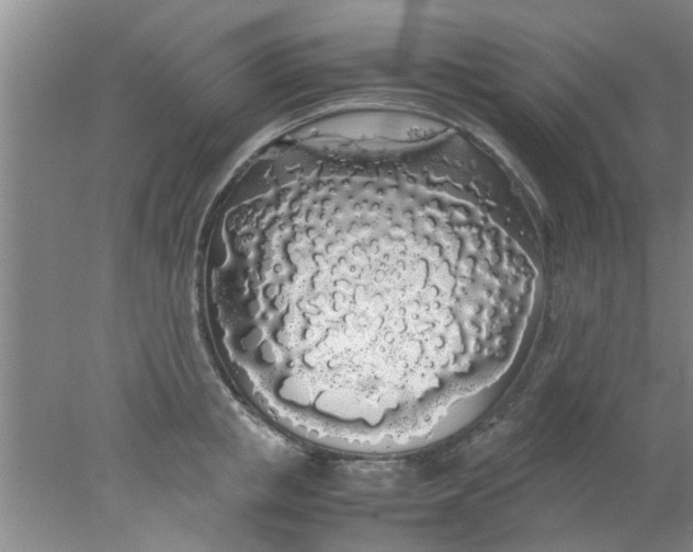 X0000078020853200611171911