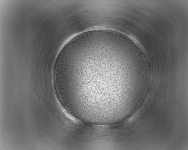 X0000078020854200611171911