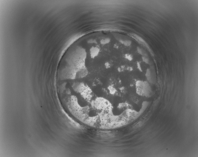 X0000078020855200611171911