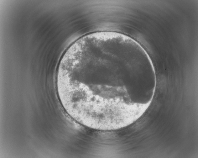 X0000078020856200611171911