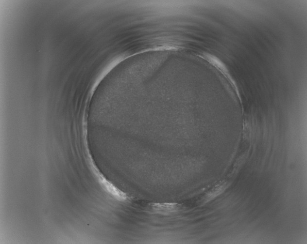 X0000078020859200611171911