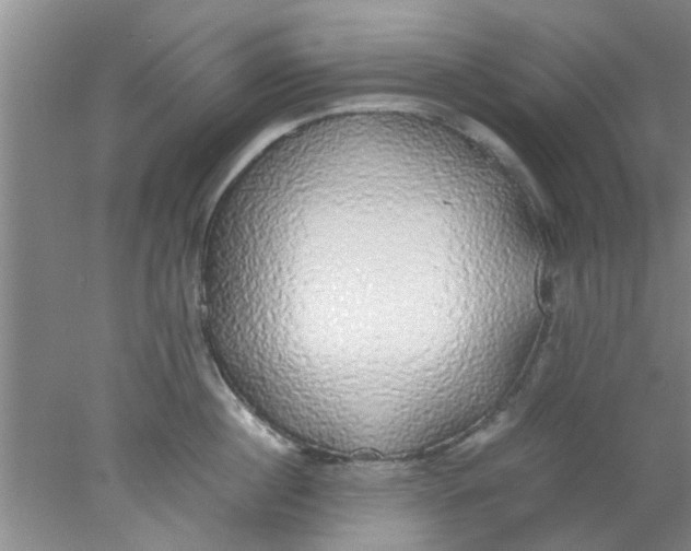 X0000078020860200611171911