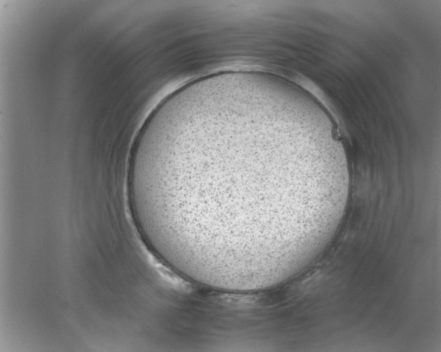 X0000078020861200611171911