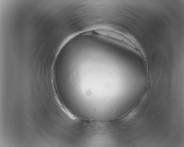 X0000078020862200611171911