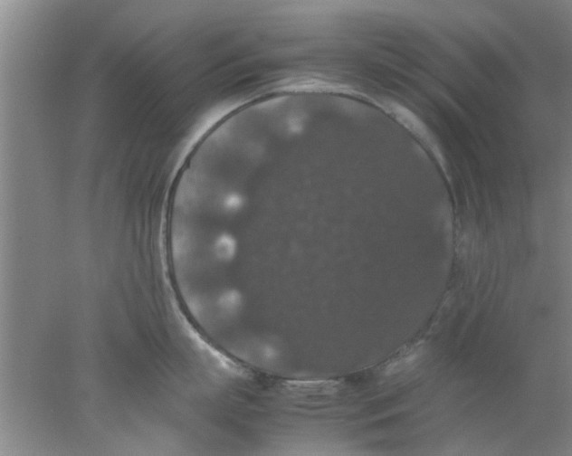 X0000078020863200611171911