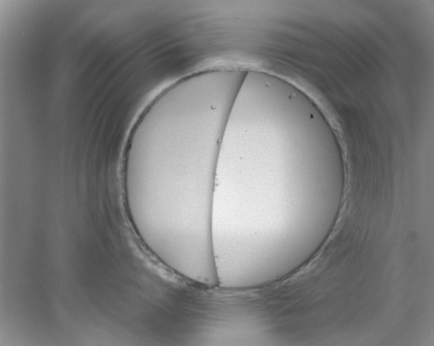 X0000078020864200611171911