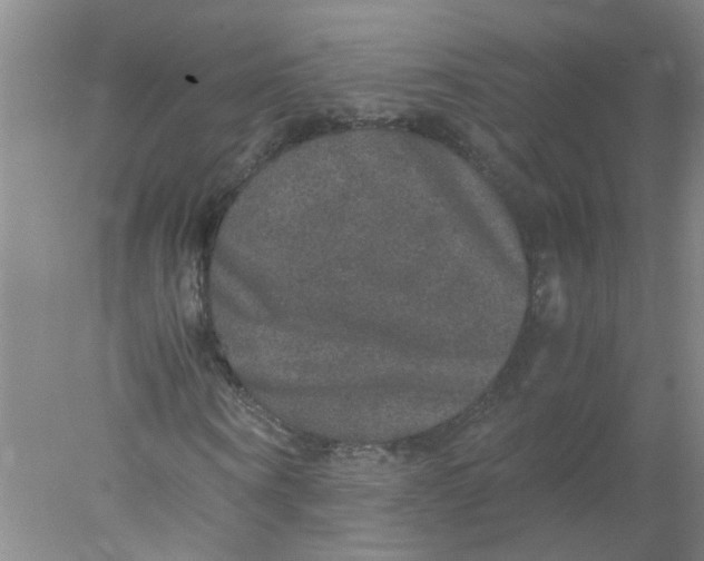 X0000078020866200611171910