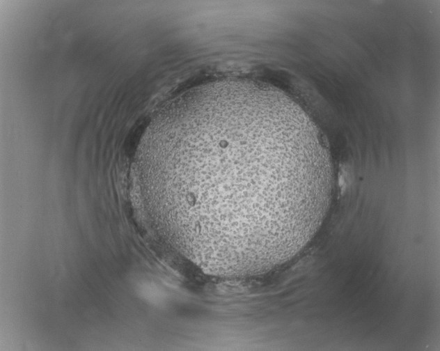 X0000078020867200611171910