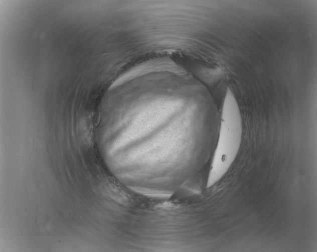 X0000078020868200611171910